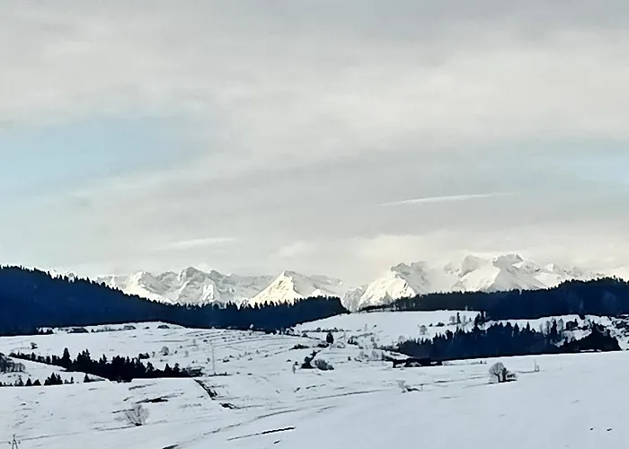 Na Zapotocu * Grywald